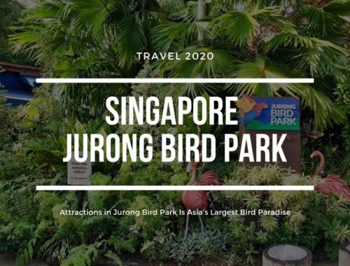 Singapore Jurong Bird Park Attractions