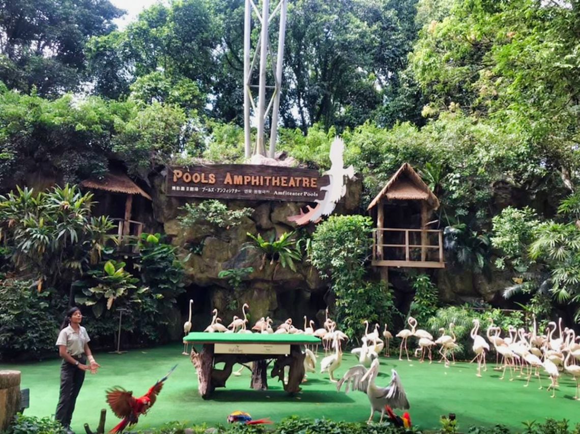 Jurong Bird Park Attractions and Shows |Monday Go Travel