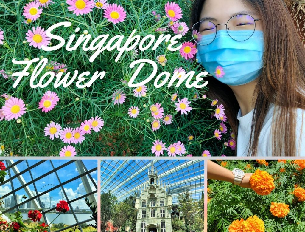 Flower Dome Singapore View What is inside? Monday Go Travel